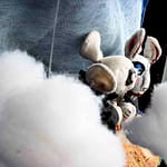 In the clouds